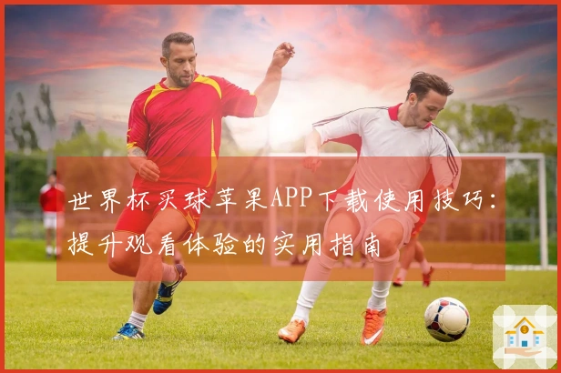 世界杯买球苹果APP下载使用技巧：提升观看体验的实用指南