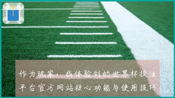 作为玩家，我体验到的世界杯投注平台官方网站核心功能与使用技巧分享