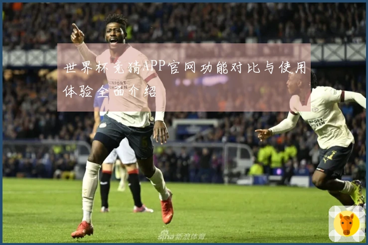 世界杯竞猜APP官网功能对比与使用体验全面介绍