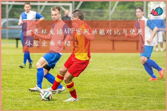 世界杯竞猜APP官网功能对比与使用体验全面介绍