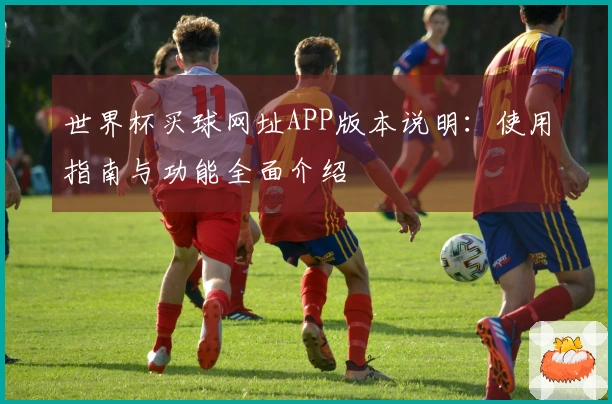 世界杯买球网址APP版本说明：使用指南与功能全面介绍