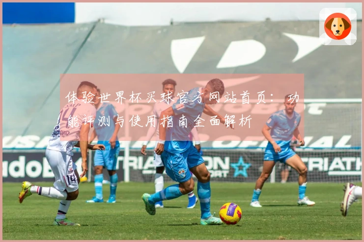 体验世界杯买球官方网站首页：功能评测与使用指南全面解析