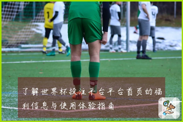 了解世界杯投注平台平台首页的福利信息与使用体验指南