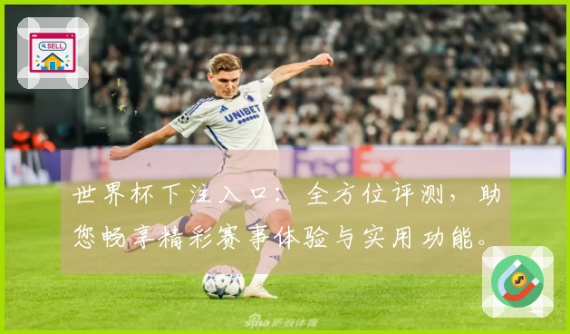 世界杯下注入口:全方位评测,助您畅享精彩赛事体验与实用功能。