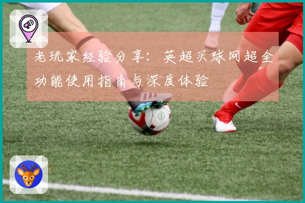 老玩家经验分享:英超买球网超全功能使用指南与深度体验