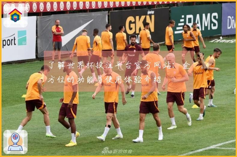 了解世界杯投注平台官方网站：全方位的功能与使用体验介绍