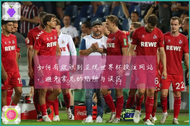 如何有效识别正规世界杯投注网站,避免常见的陷阱与误区