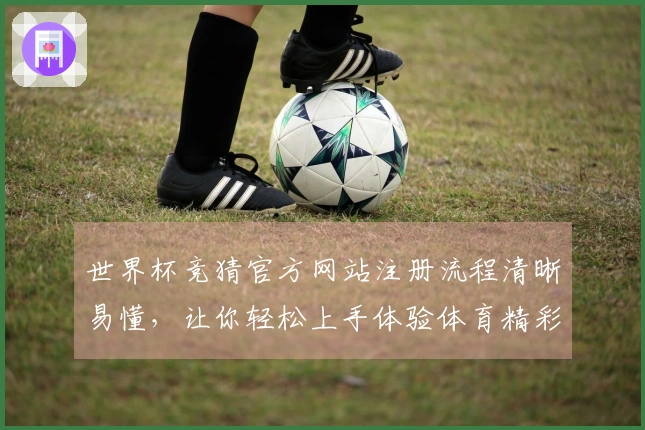 世界杯竞猜官方网站注册流程清晰易懂，让你轻松上手体验体育精彩