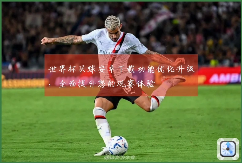世界杯买球安卓下载功能优化升级，全面提升您的观赛体验