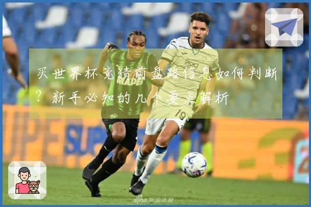 买世界杯竞猜前盘路信息如何判断？新手必知的几个要点解析