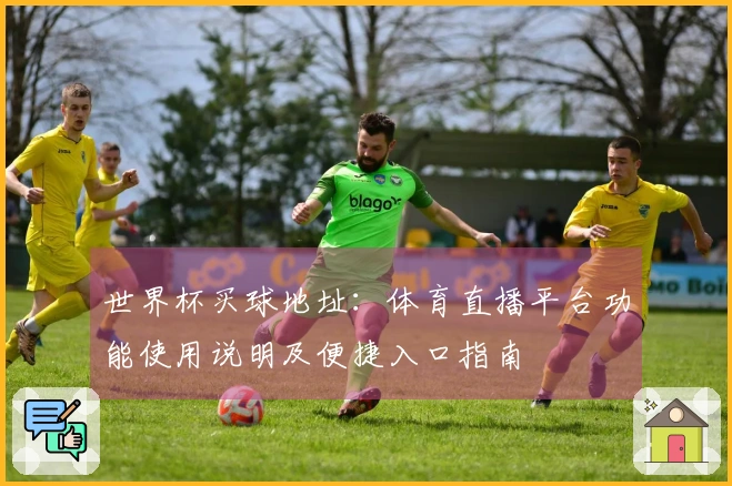 世界杯买球地址：体育直播平台功能使用说明及便捷入口指南